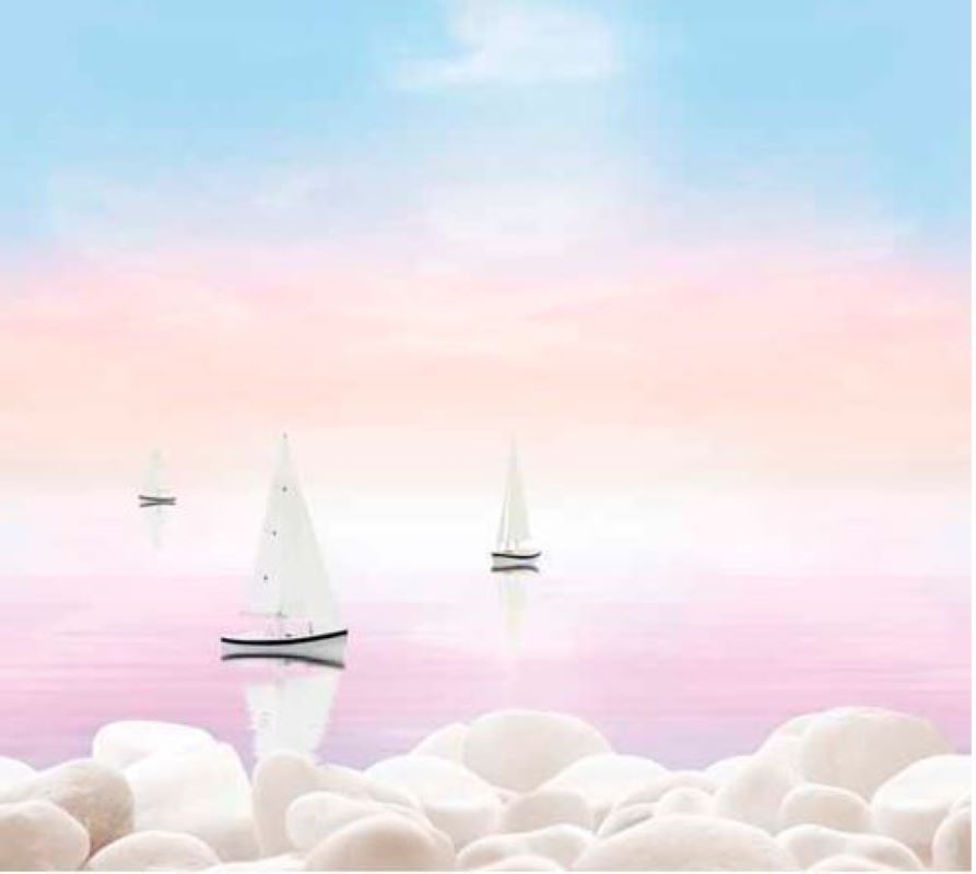 Decorado Goa Navio 2