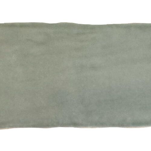 Manual Sage Brillo